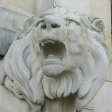 Lions Logo